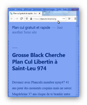 Image de la page du site